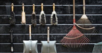 Les outils indispensables pour un jardin réussi