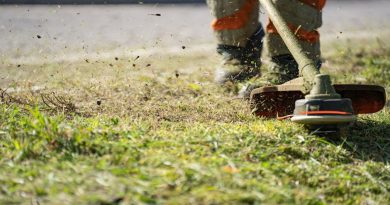 Les secrets d’un entretien de jardin réussi