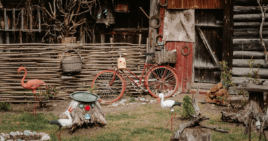 Comment embellir votre jardin avec des décorations