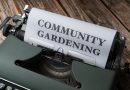 Jardinage : un moyen de se rencontrer et échanger