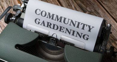 Jardinage : un moyen de se rencontrer et échanger