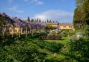 5 Astuces pour Économiser de l’Eau au Jardin