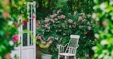 Aménagez un jardin accueillant grâce à ces accessoires