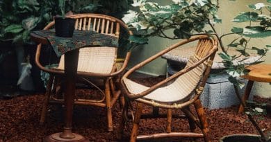 Idées créatives pour décorer votre jardin