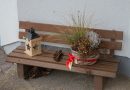 Les accessoires qui embellissent votre jardin