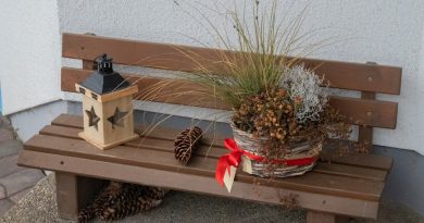 Les accessoires qui embellissent votre jardin