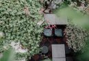Aménager Son Jardin : Conseils Pratiques de Bricolage