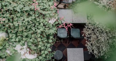Aménager Son Jardin : Conseils Pratiques de Bricolage