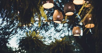 Organiser des soirées jardin pleines de charme
