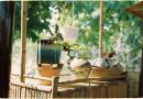Les astuces écolo pour choisir vos accessoires de jardin