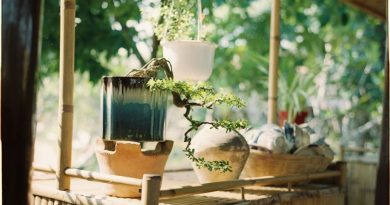 Les astuces écolo pour choisir vos accessoires de jardin