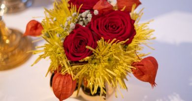 Fleurs d’intérieur : conseils pour un décor réussi