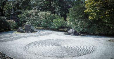 Éléments essentiels pour un jardin harmonieux