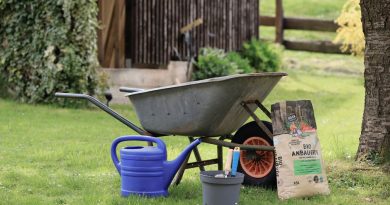 Aménager son jardin : conseils pratiques