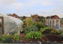 Créer un coin potager en quelques étapes