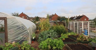 Créer un coin potager en quelques étapes
