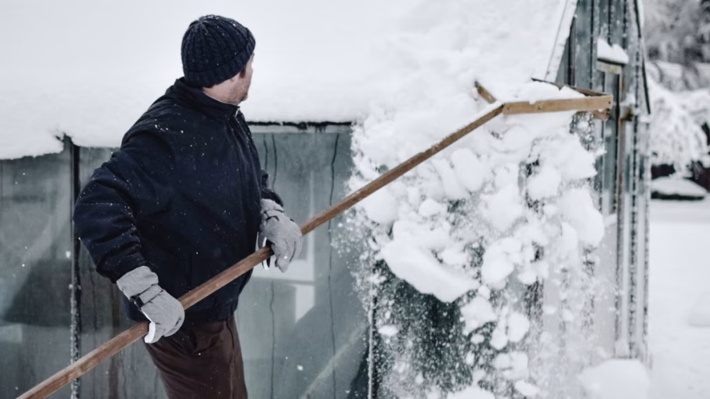 Construire une serre en bois pour l'hiver : guide complet