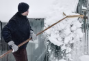 Construire une serre en bois pour l'hiver : guide complet