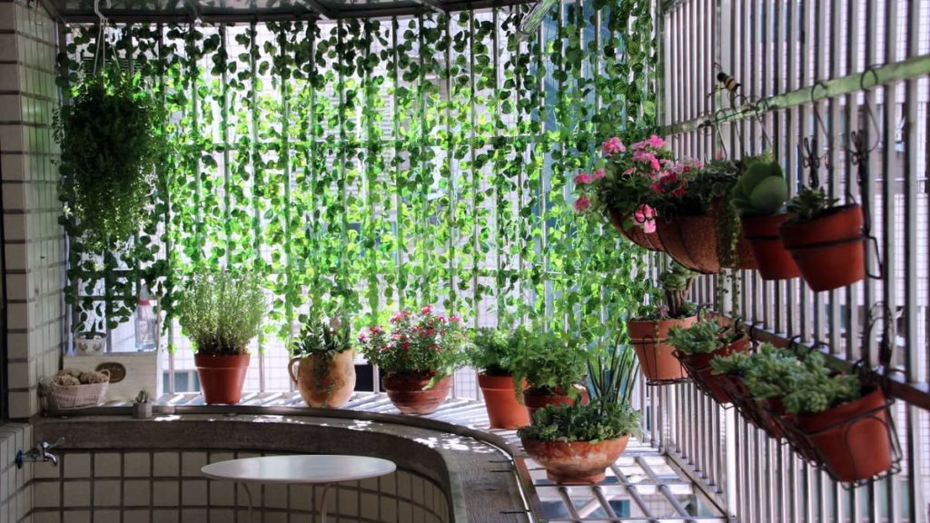 Créer un potager vertical pour petits espaces