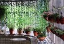 Créer un potager vertical pour petits espaces