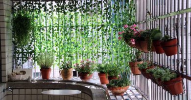 Créer un potager vertical pour petits espaces