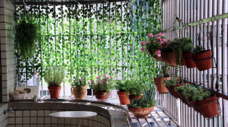 Créer un potager vertical pour petits espaces