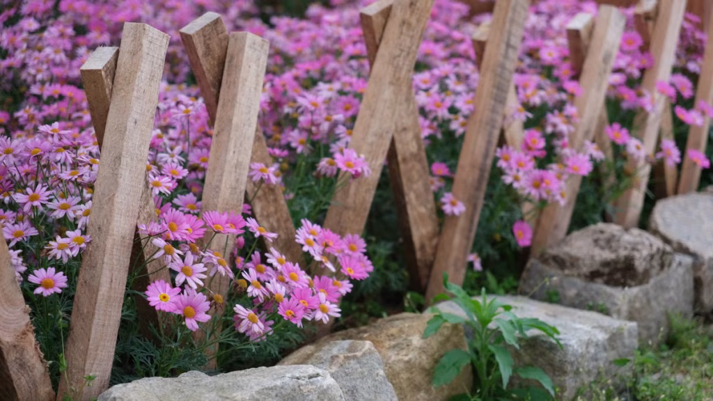 DIY bordures jardin bois flotté : guide complet
