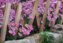 DIY bordures jardin bois flotté : guide complet