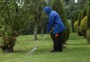 Le jardin en septembre : regarnir le gazon et gérer les feuilles