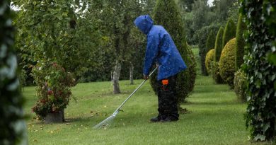 Le jardin en septembre : regarnir le gazon et gérer les feuilles