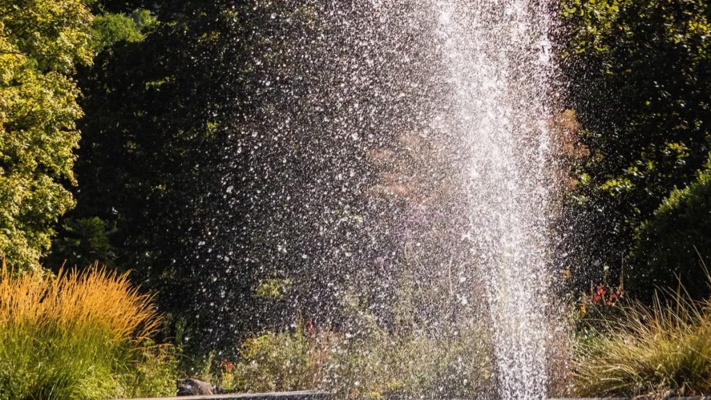 Décoration extérieure 2026 : intégrer l'eau dans son jardin