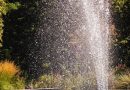 Décoration extérieure 2026 : intégrer l'eau dans son jardin