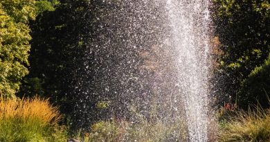 Décoration extérieure 2026 : intégrer l'eau dans son jardin