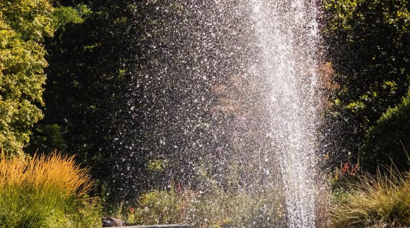 Décoration extérieure 2026 : intégrer l'eau dans son jardin