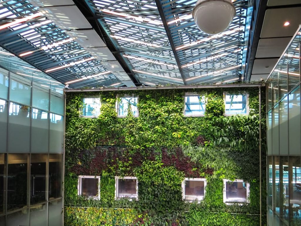 Habiller un puits au jardin : grille et végétaux