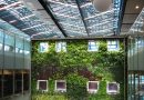 Habiller un puits au jardin : grille et végétaux