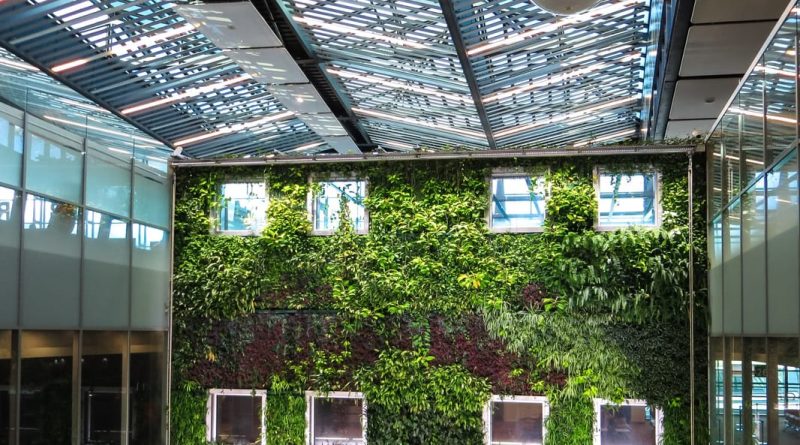 Habiller un puits au jardin : grille et végétaux
