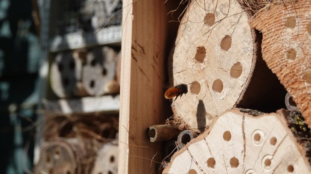 Bricolage jardin : construire un hôtel à insectes pour la biodiversité