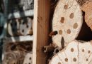 Bricolage jardin : construire un hôtel à insectes pour la biodiversité
