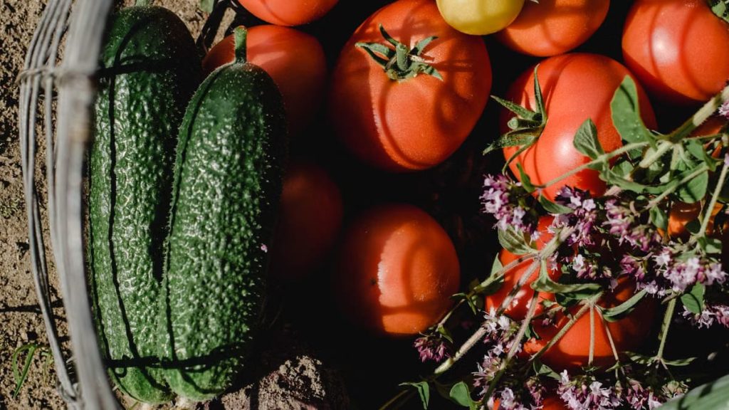 Créer un jardin comestible en permaculture : guide pratique