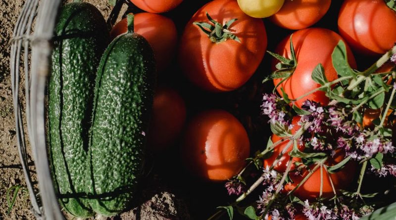 Créer un jardin comestible en permaculture : guide pratique