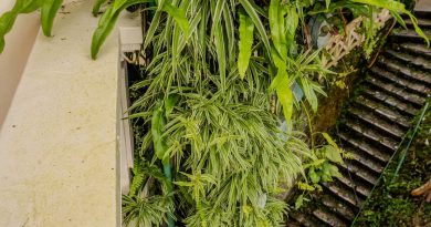 Jardinage vertical petits espaces : 7 techniques qui transforment 2m²