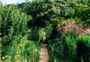 Quand le jardin réclame sa part d’actualité
