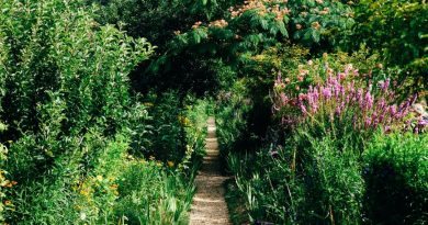 Quand le jardin réclame sa part d’actualité