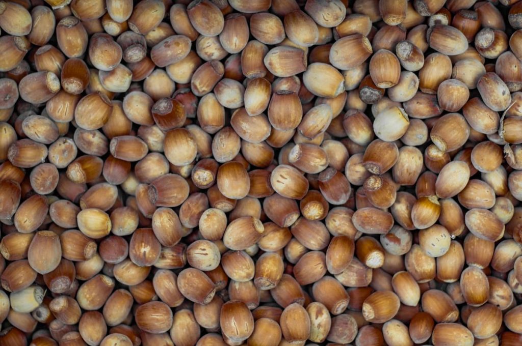Propriétés de l'huile de noisette