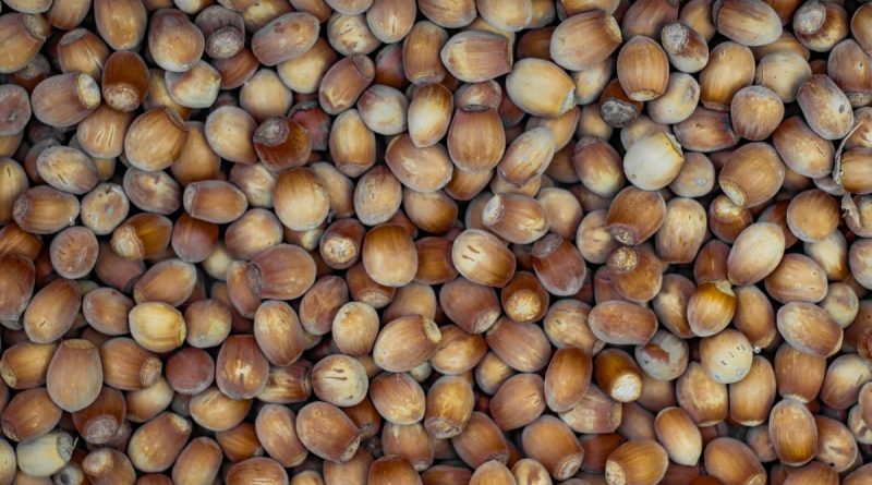 Propriétés de l'huile de noisette